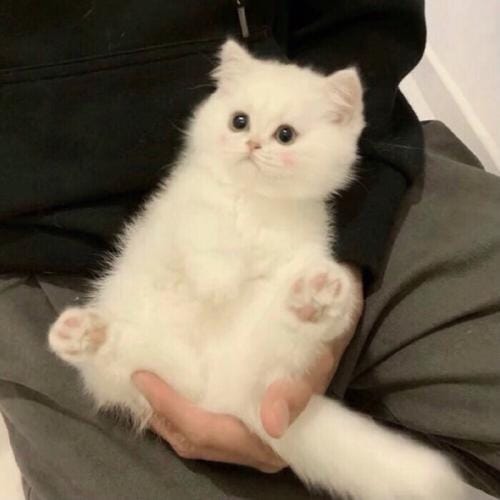 Trần Thị Hằng avatar